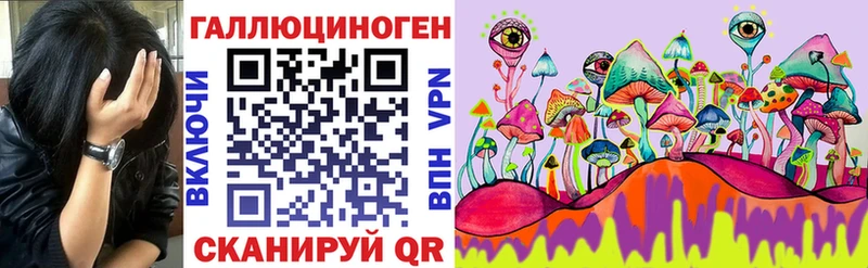 Купить  Бежецк  Псилоцибиновые грибы прущие грибы 